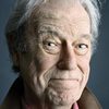 Gordon Pinsent as Capt. Longstocking (voice)