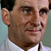 John Franklyn-Robbins as Mr. Stebbins
