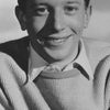 Andrew Ray as Brian Preston