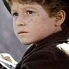 Cory 'Bumper' Yothers as Boy in Bullseye Frozen Food (as Bumper)
