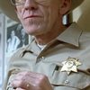 William Newman as Sheriff Cronin