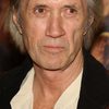 David Carradine as Nava the Wolf Shaman (voice)