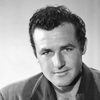 Rex Reason as Capt. Seth Parton (Union officer)