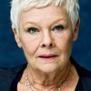 Judi Dench as (voice)