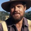 Merlin Olsen as Sgt. Fitzsimmons
