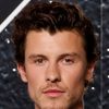 Shawn Mendes as Lyle (voice)