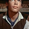 Hal Stalmaster as Johnny Tremain