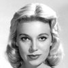 Sally Todd