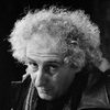 Eugenio Allegri as Giardiniere