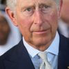 King Charles III as Self (archive footage)