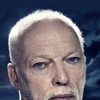 David Gilmour