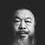 Weiwei Ai as Self