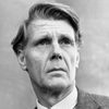 James Fox as Col. Ferguson