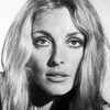 Sharon Tate as Self (archive footage)