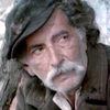 Boro Begović