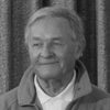 Mieczysław Janowski as Olek - strażnik w banku Kramera