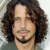 Chris Cornell as Self
