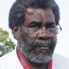 Joe Greene as Joe Greene