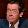 Dennis Bourke as Doctor