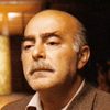 Michael V. Gazzo as Chief Clark (as Michael Gazzo)