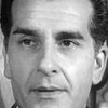 Max Amyl as Additional Voices (voice)