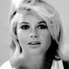Sophie Daumier as Connie Breastfull