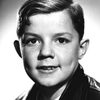Lanny Rees as Desk Sergeant