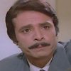 Mohamed Hamdy as El-Adel