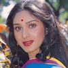 Meenakshi Sheshadri as Shalu