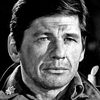 Charles Bronson as Lou Torrey