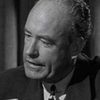 Sam Hayes as Radio Broadcaster