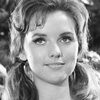 Dawn Wells as Helen Reed