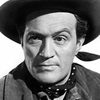 Don Haggerty as Sheriff Elmer Gall