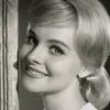 Diane McBain as Josephine