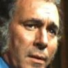 Richard Towers as Dr. John Collingwood