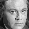 Wolfgang Reichmann as Joachim Müller-Strehlitz