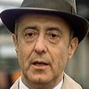 Jaroslav Vozáb as Kastelán