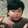 Masahiko Shimazu as Shinichi Aoki