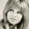 Jennie Linden as Janet Freeman