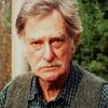 Nesbitt Blaisdell as Hank