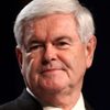 Newt Gingrich as Himself