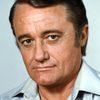 Robert Vaughn as Self