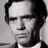 Theodoros Dovas as Door-to-door salesman