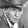 Jim Davis as Newton