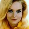 Claire Polan