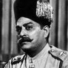 Raj Mehra as Judge Mehra