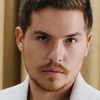 Dylan Sprouse as Justin Carver