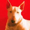 Chimbot as Baxter le chien