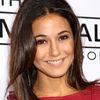 Emmanuelle Chriqui as Erika Bryce