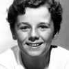 Freddie Bartholomew as Cedric 'Ceddie' Erroll aka Lord Fauntleroy